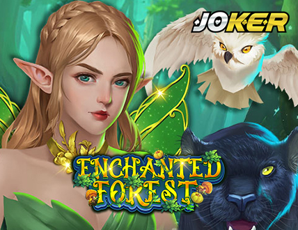 Enchanted Forest